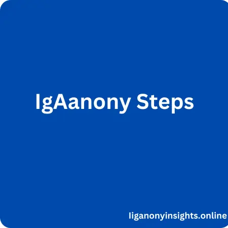 View Instagram Stories with IGANONY